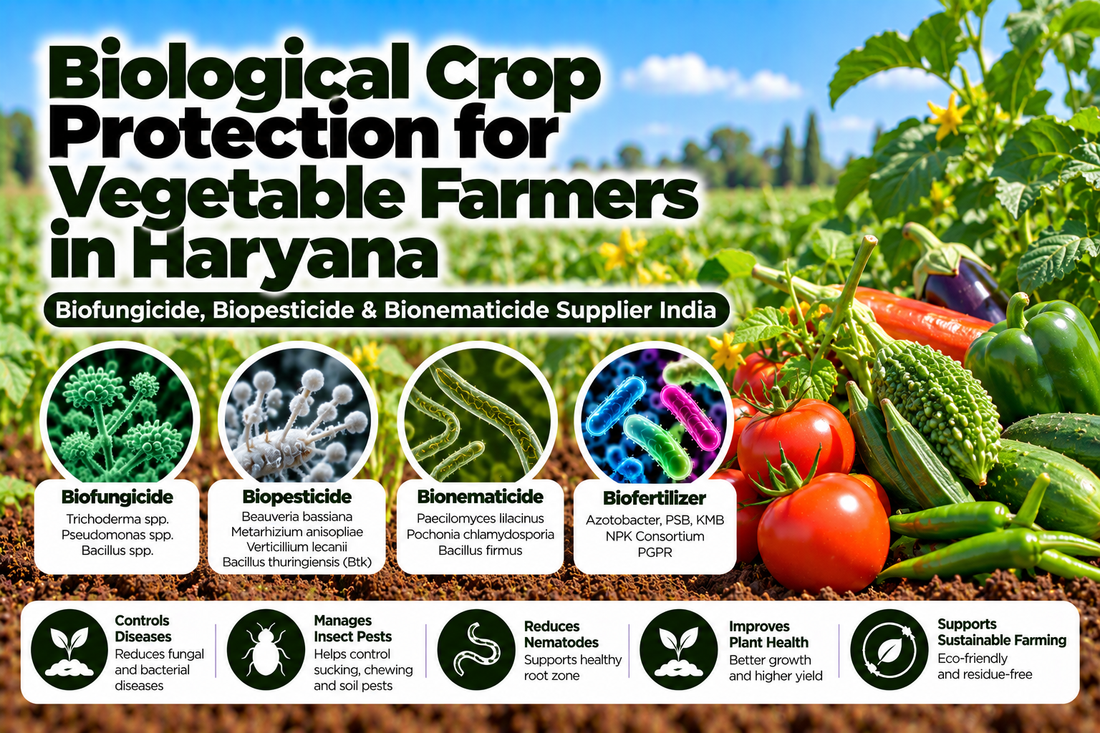 Biological Crop Protection for Vegetable Farmers in Haryana | Biofungicide, Biopesticide & Bionematicide Supplier India
