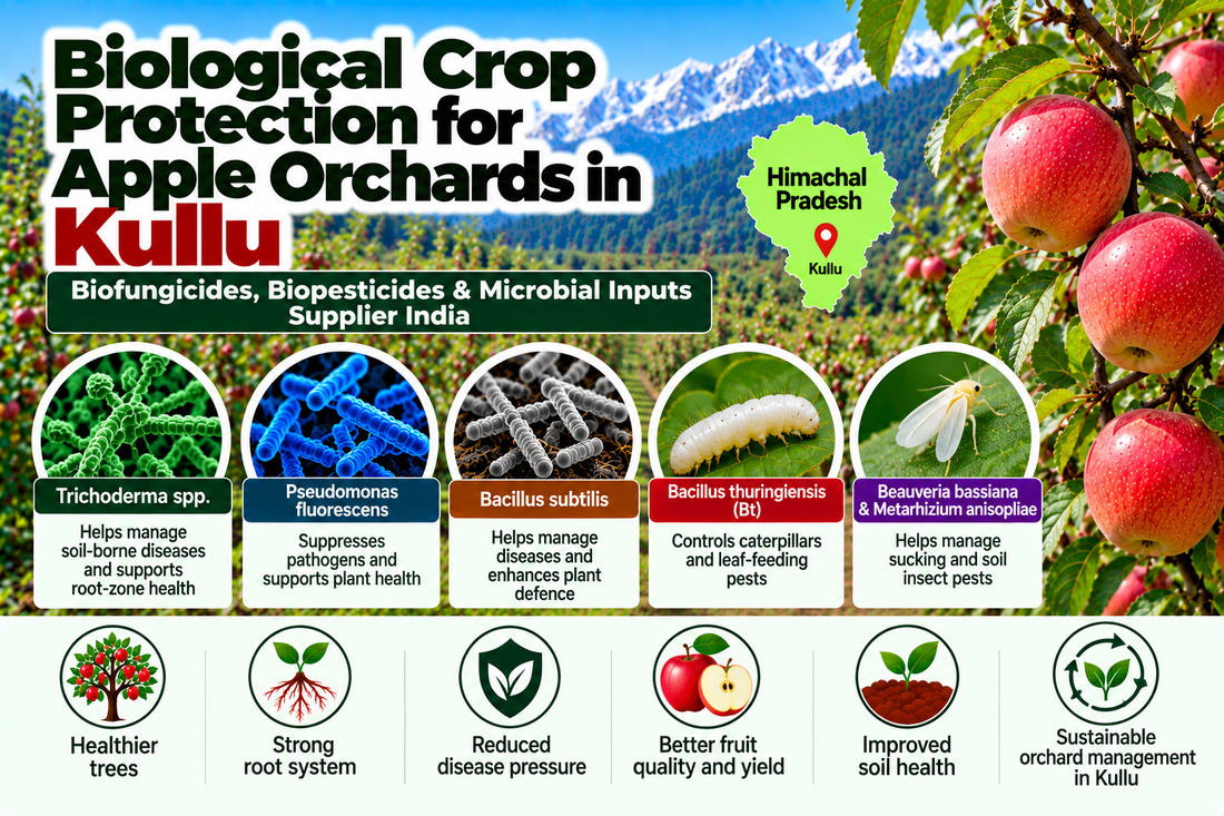 Biological Crop Protection for Apple Orchards in Kullu | Biofungicides, Biopesticides & Microbial Inputs Supplier India