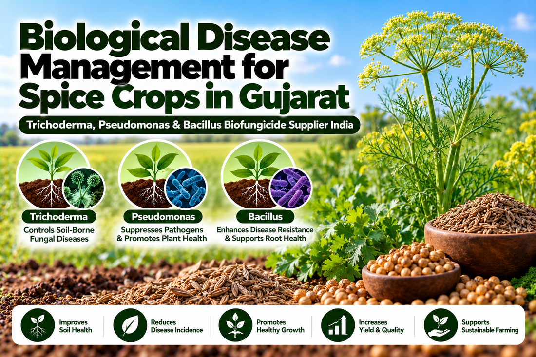Biological Disease Management for Spice Crops in Gujarat | Trichoderma, Pseudomonas & Bacillus Biofungicide Supplier India