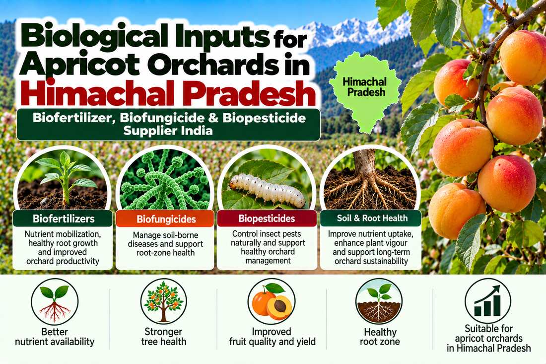 Biological Inputs for Apricot Orchards in Himachal Pradesh | Biofertilizer, Biofungicide & Biopesticide Supplier India
