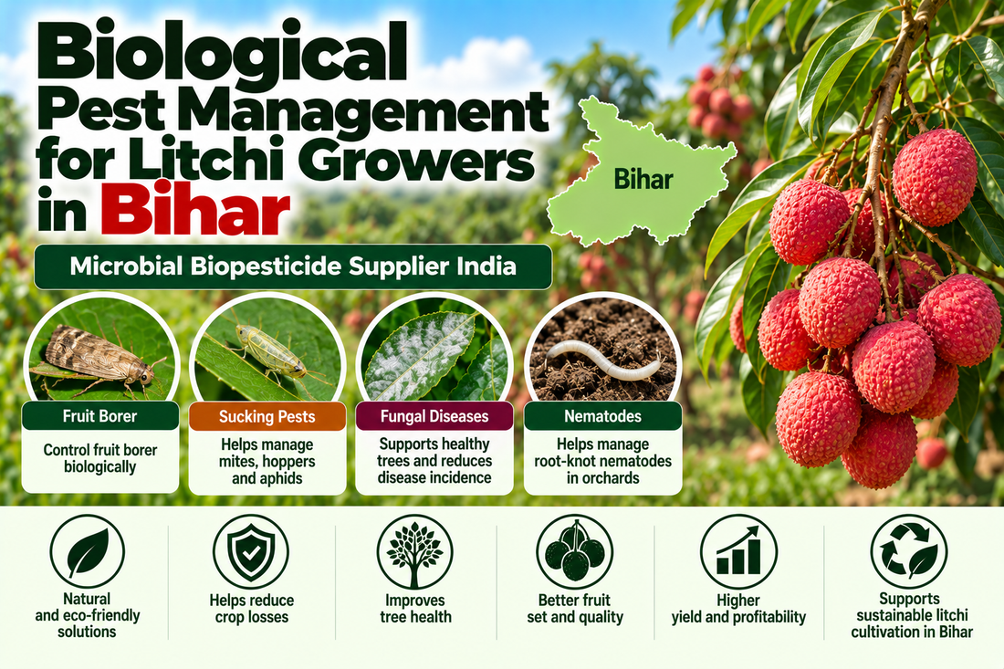 Biological Pest Management for Litchi Growers in Bihar | Microbial Biopesticide Supplier India