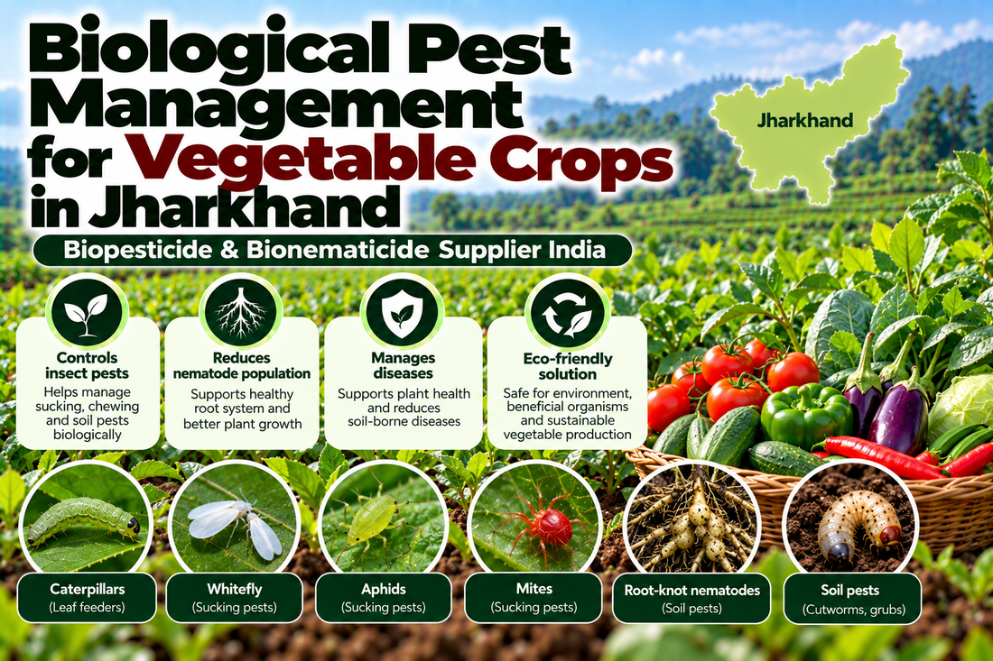 Biological Pest Management for Vegetable Crops in Jharkhand | Biopesticide & Bionematicide Supplier India