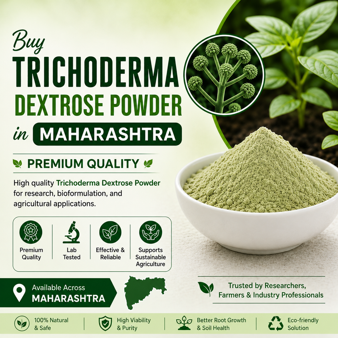 Buy Trichoderma Dextrose Powder Online in Maharashtra | Biofungicide for Agriculture