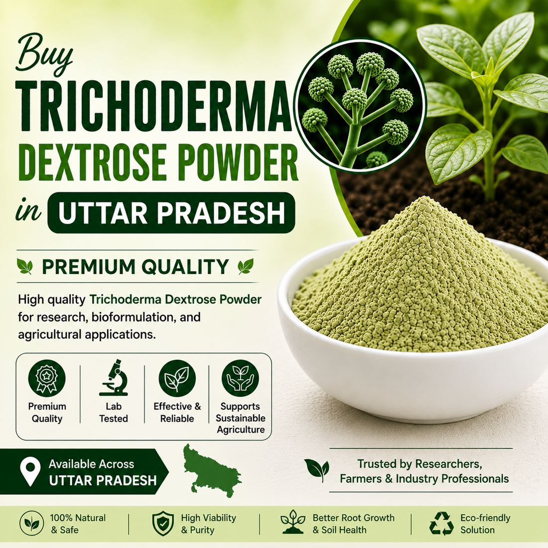 Buy Trichoderma Dextrose Powder Online in Uttar Pradesh | Agricultural Biofungicide