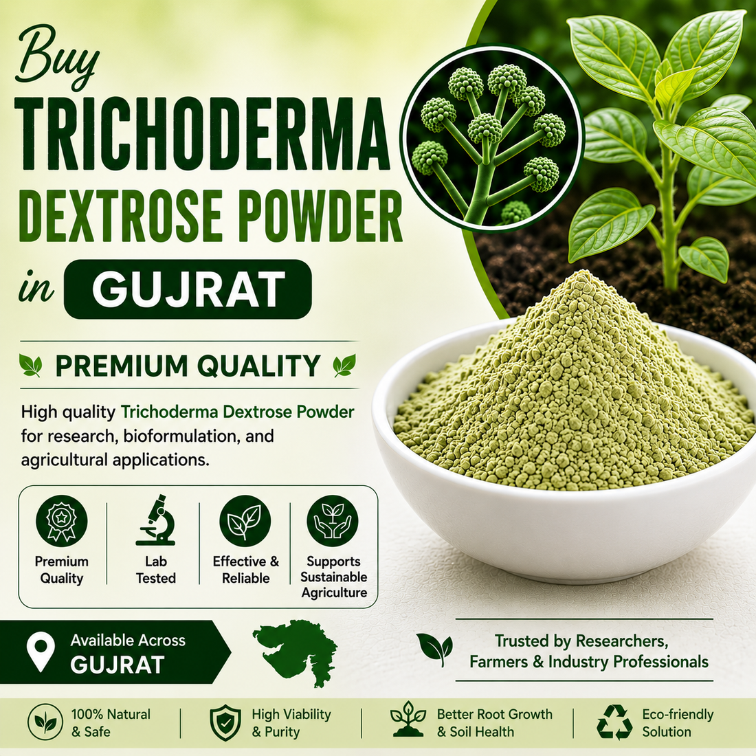 Buy Trichoderma Dextrose Powder Online in Gujarat | Agricultural Biofungicide
