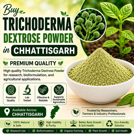 Buy Trichoderma Dextrose Powder Online in Chhattisgarh | Agricultural Biofungicide
