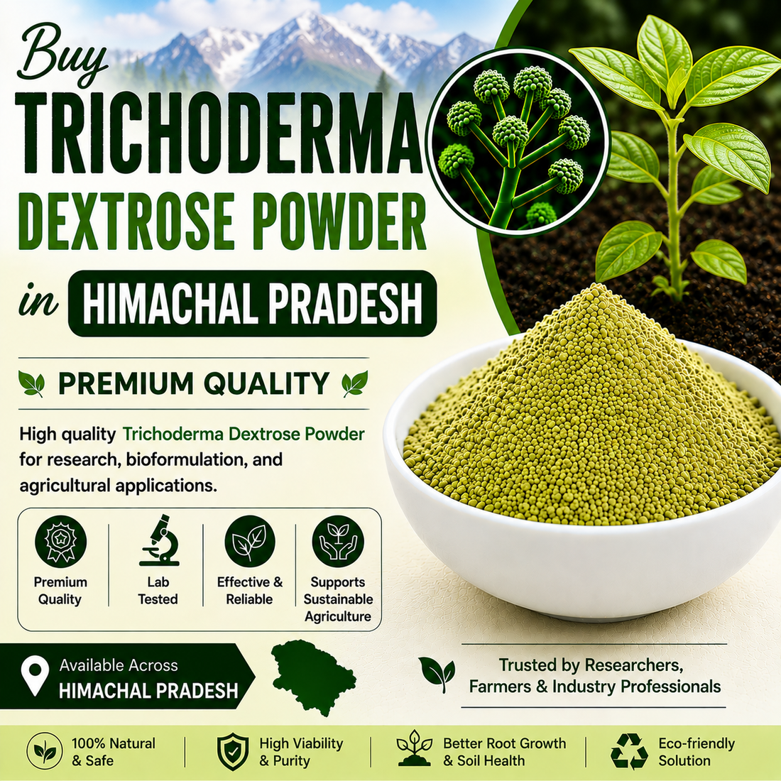 Buy Trichoderma Dextrose Powder Online in Himachal Pradesh | Biofungicide