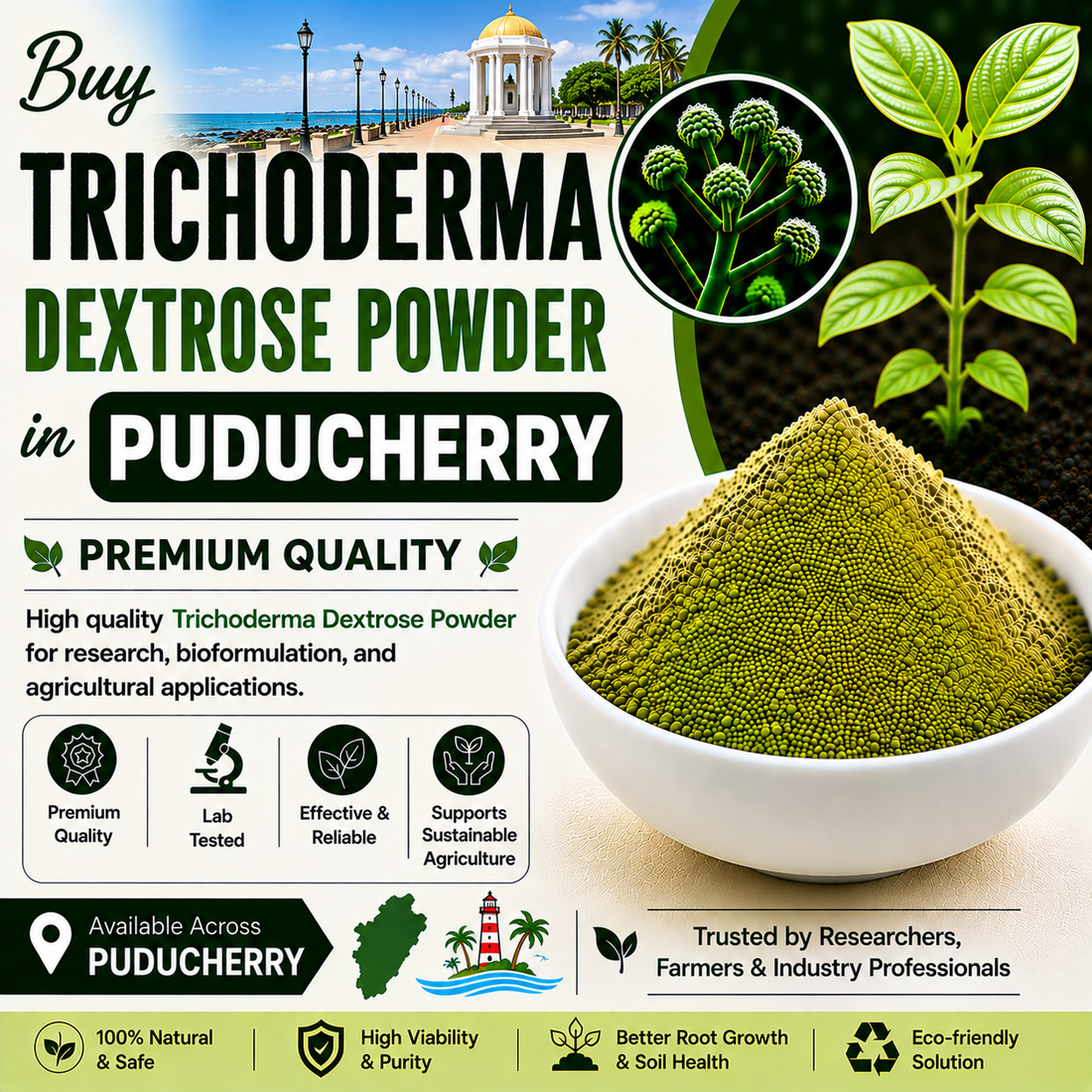 Buy Trichoderma Dextrose Powder Online in Puducherry | Biofungicide