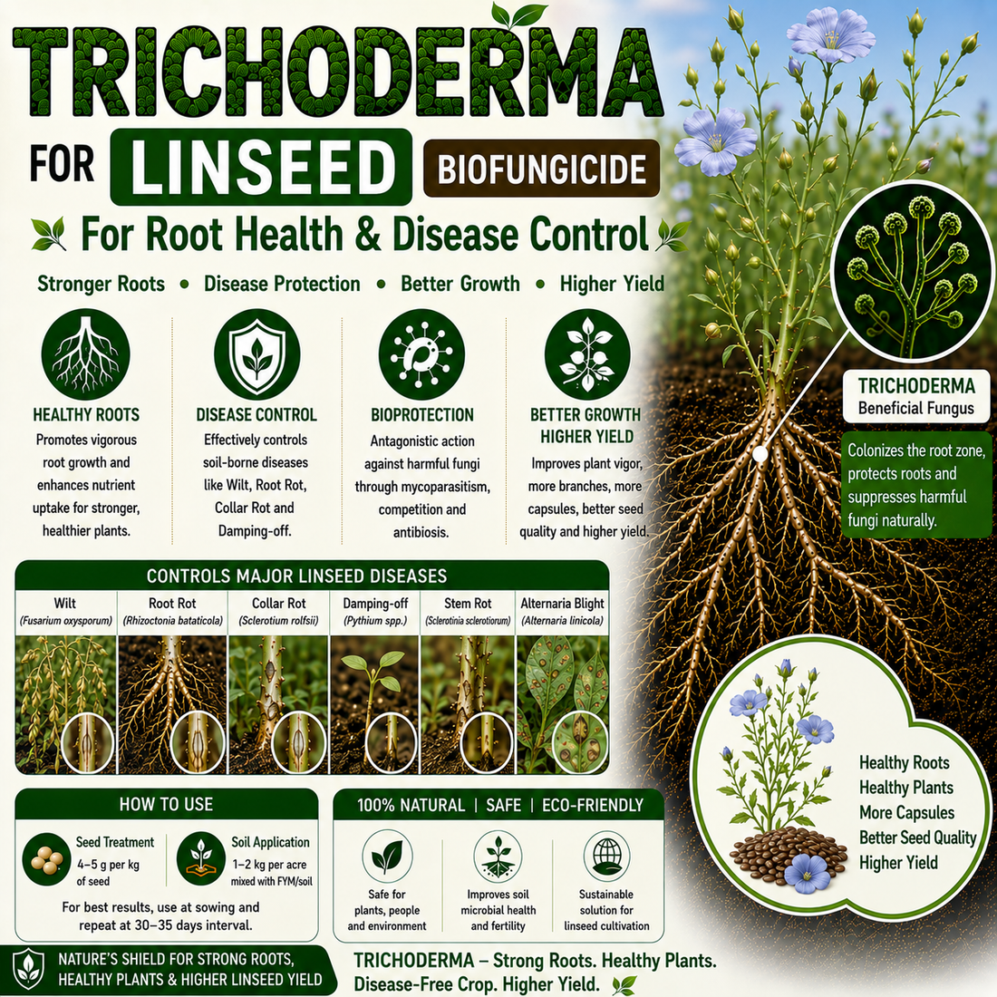 Trichoderma for Linseed (Flax): Natural Biofungicide for Root Rot Control, Healthy Capsule Development & Higher Seed Yield
