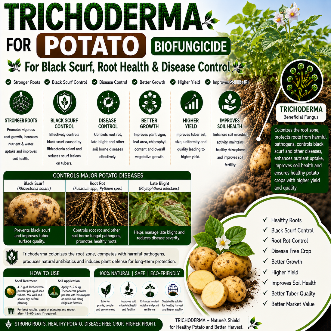 Trichoderma for Potato: Natural Biofungicide for Black Scurf, Stem Canker Control & Higher Tuber Yield