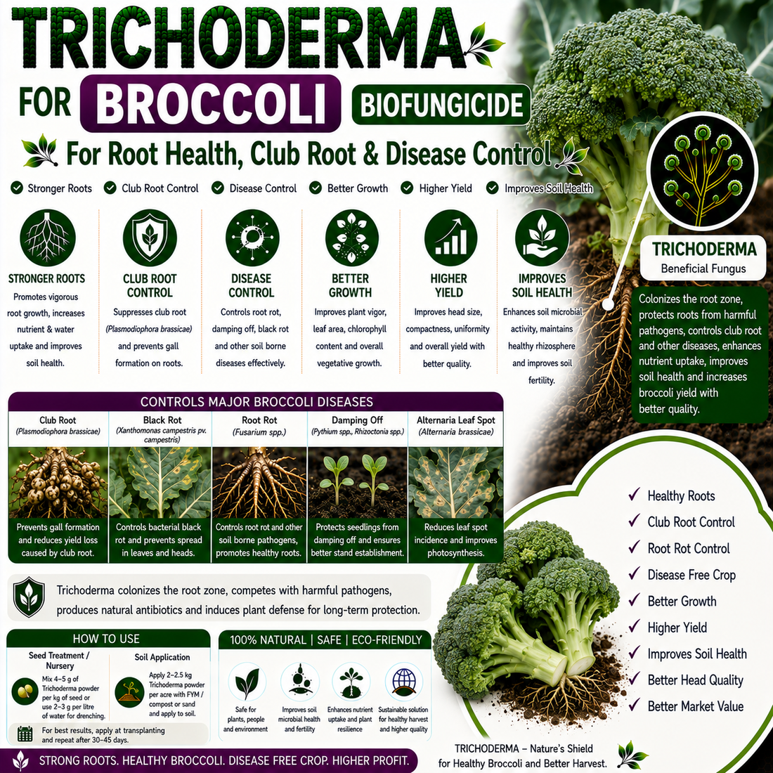 Trichoderma for Broccoli: Natural Biofungicide for Club Root, Damping-off Control & Higher Head Yield