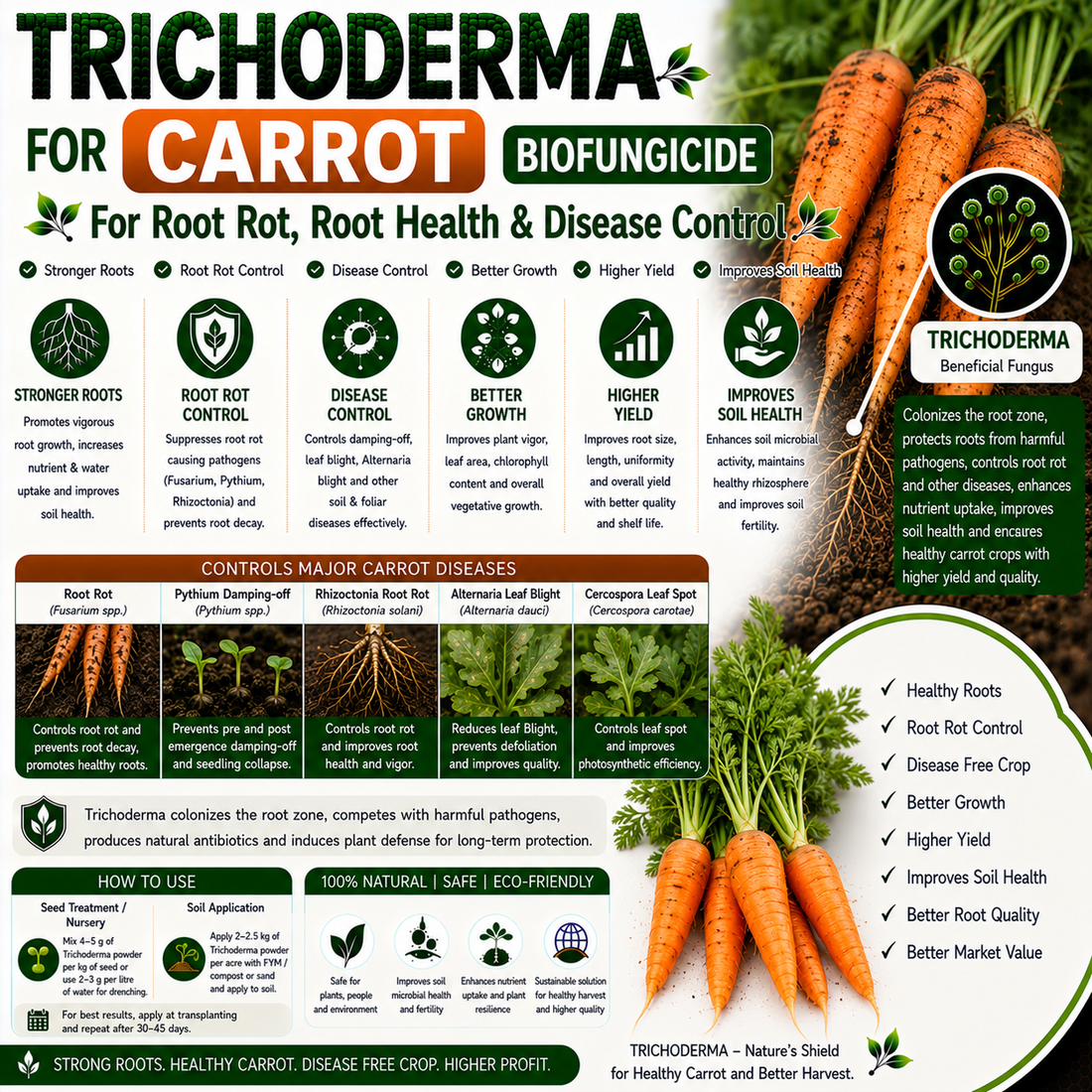 Trichoderma for Carrot: Natural Biofungicide for Root Rot, Damping-off Control & Higher Root Yield