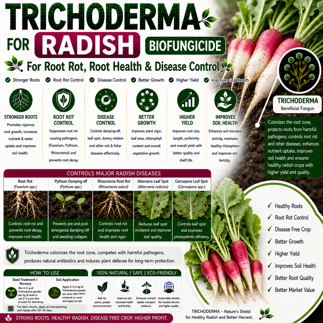 Trichoderma for Radish: Natural Biofungicide for Root Rot, Damping-off Control & Higher Root Yield