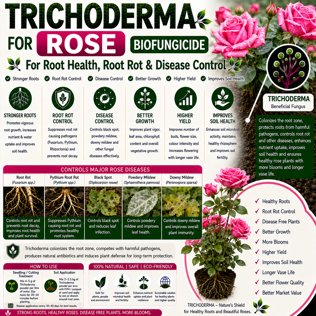 Trichoderma for Rose: Natural Biofungicide for Root Rot, Collar Rot Control & Better Flower Yield