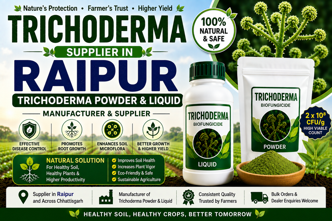 Trichoderma Supplier in Raipur | Premium Biofungicide Manufacturer & Bulk Supplier