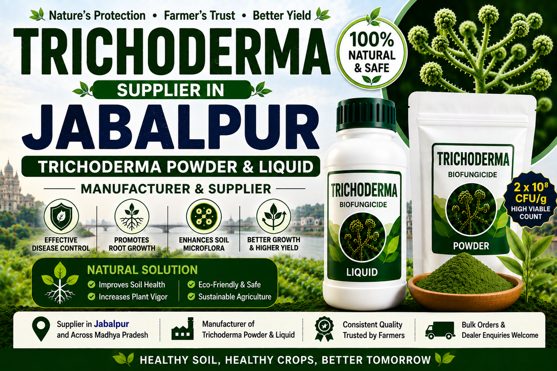 Trichoderma Supplier in Jabalpur | Premium Biofungicide Manufacturer & Bulk Supplier
