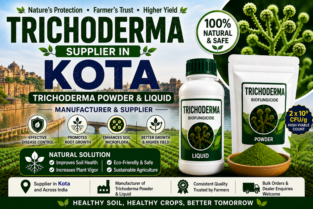 Trichoderma Supplier in Kota | Premium Biofungicide Manufacturer & Bulk Supplier