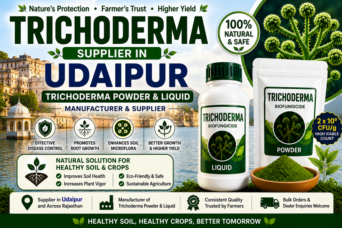 Trichoderma Supplier in Udaipur | Premium Biofungicide Manufacturer & Bulk Supplier