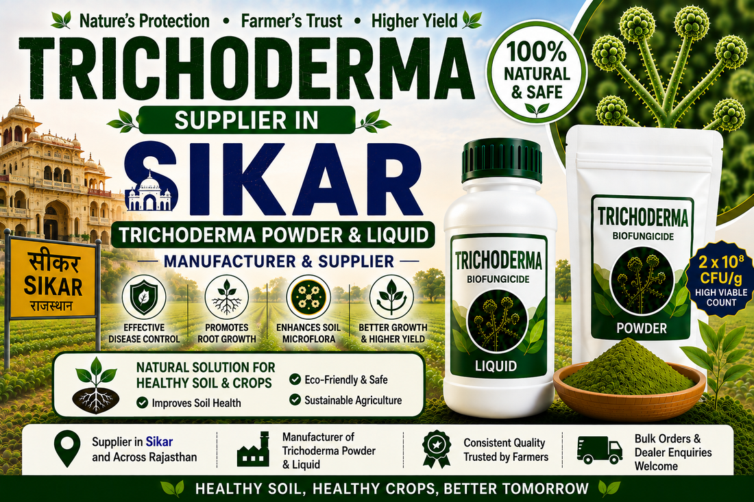 Trichoderma Supplier in Sikar | Premium Biofungicide Manufacturer & Bulk Supplier