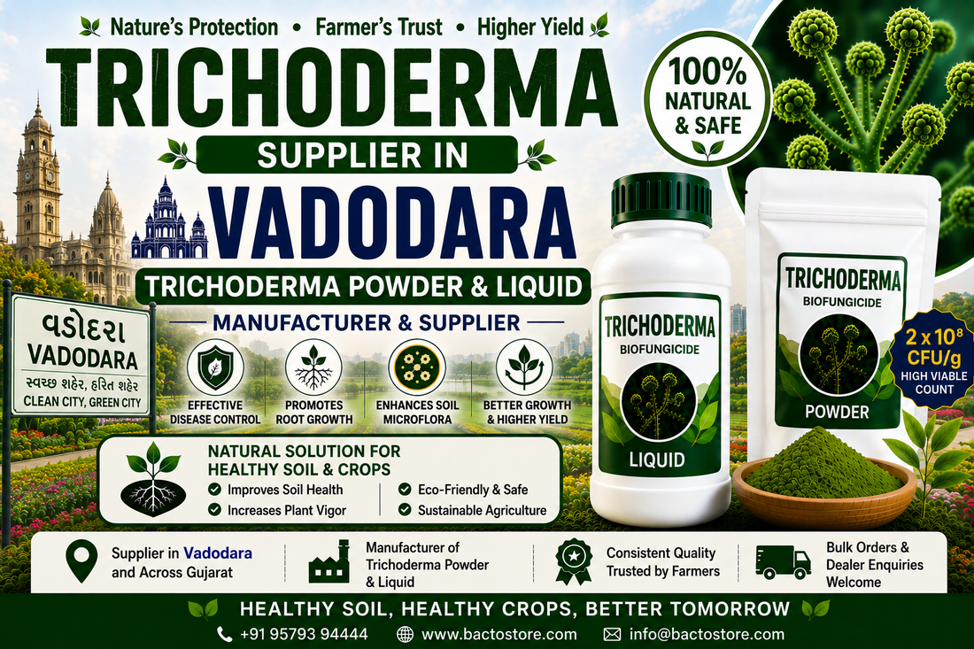 Trichoderma Supplier in Vadodara | Premium Biofungicide Manufacturer & Bulk Supplier