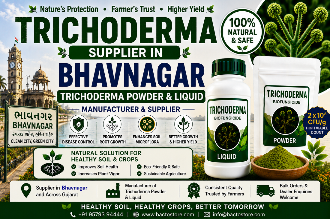 Trichoderma Supplier in Bhavnagar | Premium Biofungicide Manufacturer & Bulk Supplier