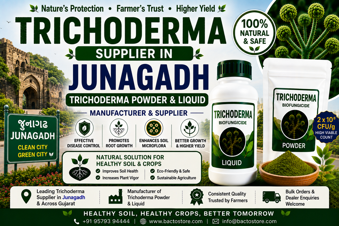 Trichoderma Supplier in Junagadh | Premium Biofungicide Manufacturer & Bulk Supplier