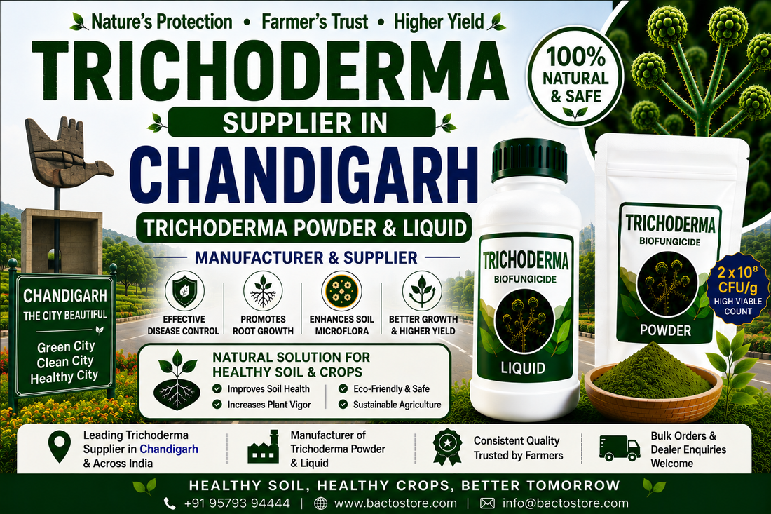 Trichoderma Supplier in Chandigarh | Premium Biofungicide Manufacturer & Bulk Supplier