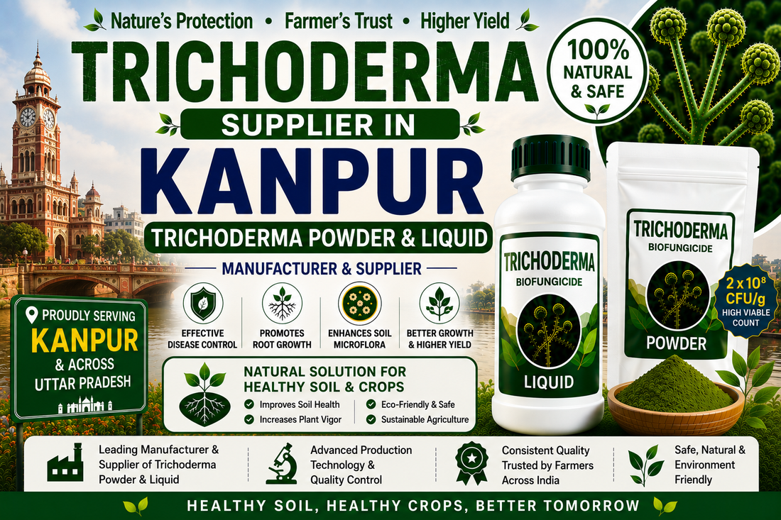 Trichoderma Supplier in Kanpur | Premium Biofungicide Manufacturer & Bulk Supplier