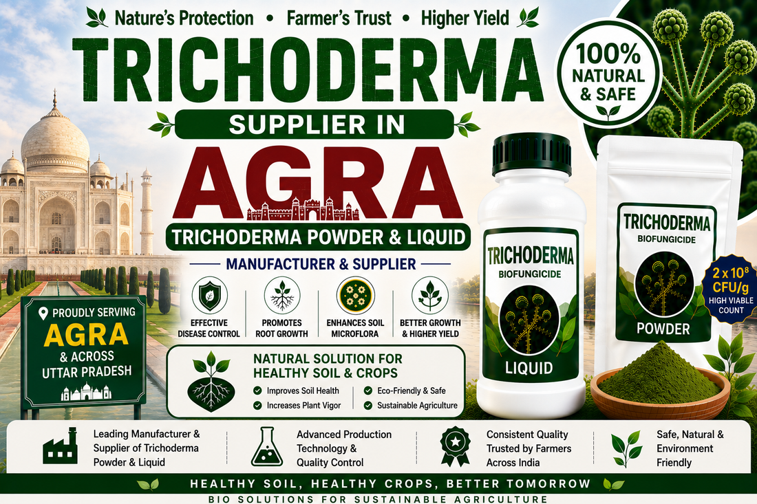 Trichoderma Supplier in Agra | Premium Biofungicide Manufacturer & Bulk Supplier