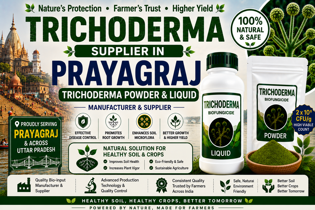 Trichoderma Supplier in Prayagraj | Premium Biofungicide Manufacturer & Bulk Supplier