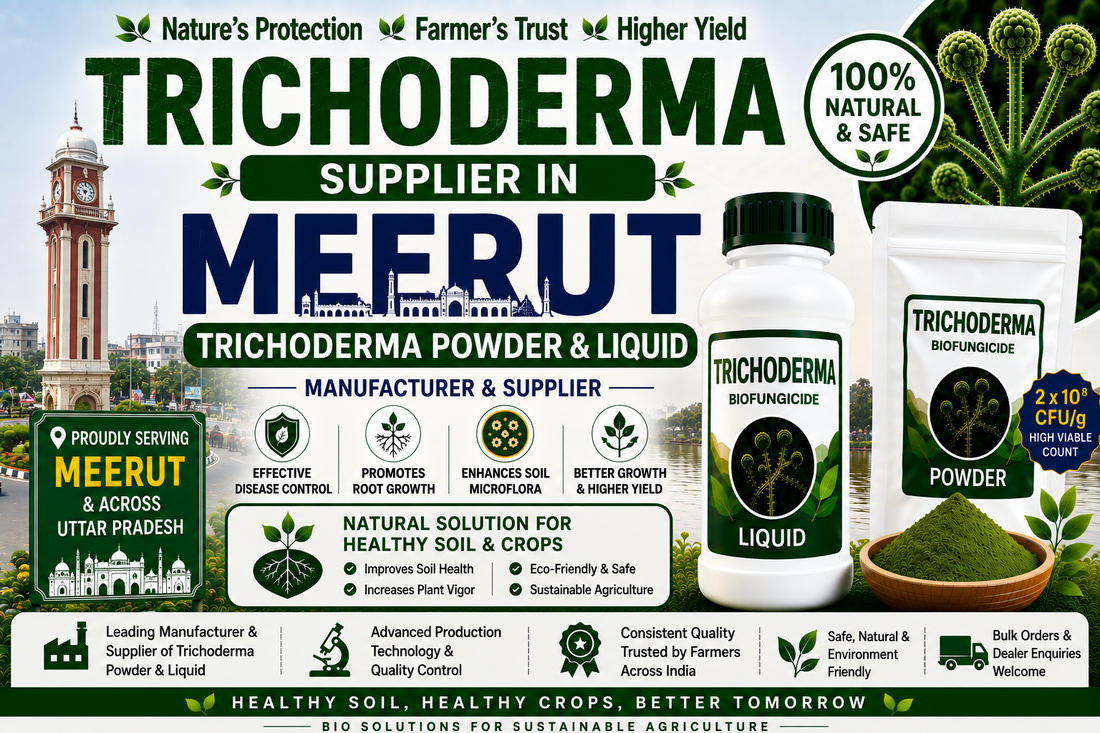 Trichoderma Supplier in Meerut | Premium Biofungicide Manufacturer & Bulk Supplier