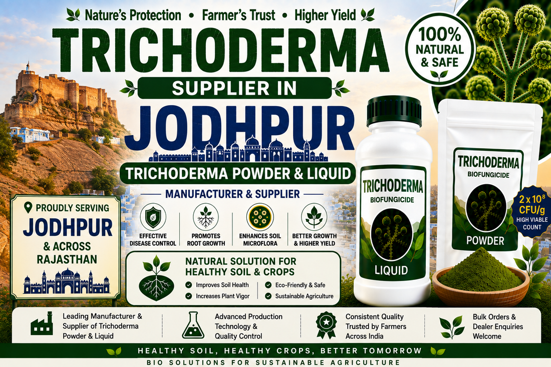 Trichoderma Supplier in Jodhpur | Premium Biofungicide Manufacturer & Bulk Supplier