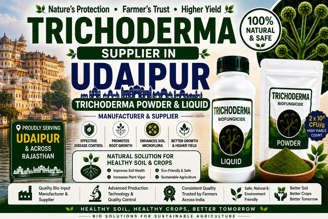 Trichoderma Supplier in Udaipur | Premium Biofungicide Manufacturer & Bulk Supplier