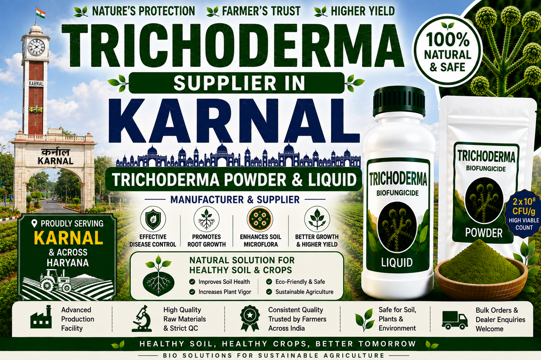 Trichoderma Supplier in Karnal | Premium Biofungicide Manufacturer & Bulk Supplier