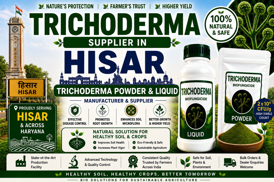 Trichoderma Supplier in Hisar | Premium Biofungicide Manufacturer & Bulk Supplier