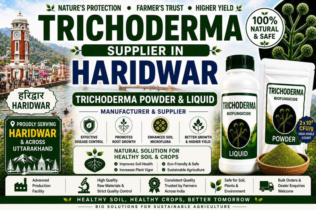 Trichoderma Supplier in Haridwar | Premium Biofungicide Manufacturer & Bulk Supplier