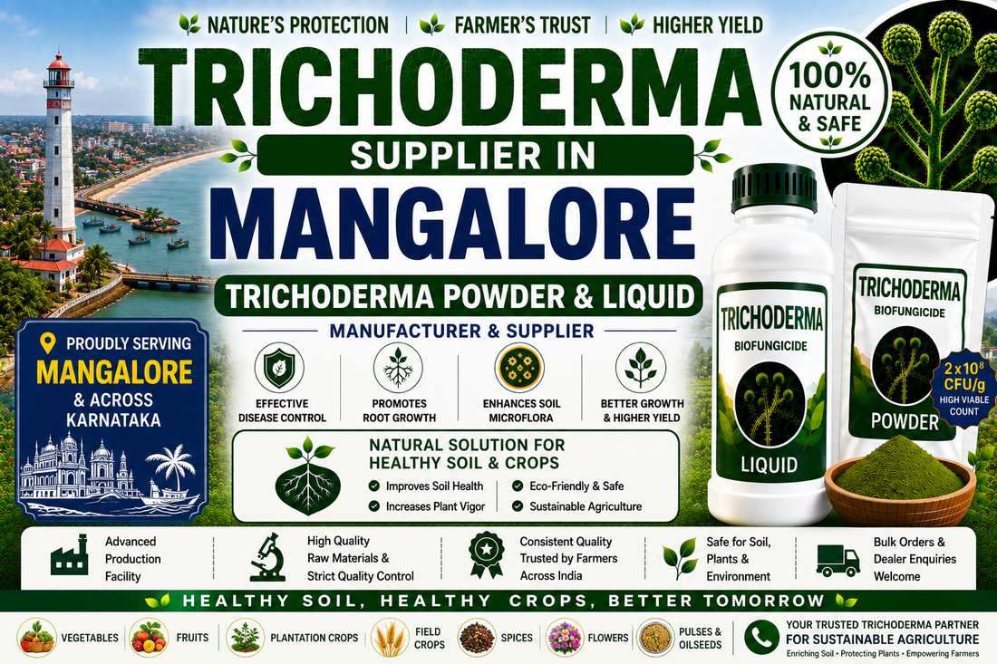 Trichoderma Supplier in Mangalore | Premium Biofungicide Manufacturer & Bulk Supplier