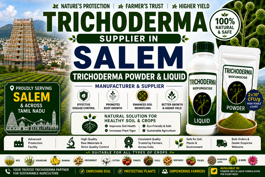 Trichoderma Supplier in Salem | Premium Biofungicide Manufacturer & Bulk Supplier