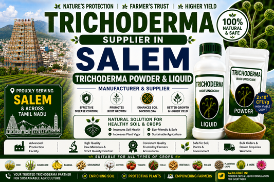 Trichoderma Supplier in Salem | Premium Biofungicide Manufacturer & Bulk Supplier
