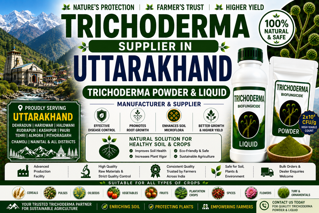 Trichoderma Supplier in Uttarakhand | Premium Biofungicide Manufacturer & Bulk Supplier