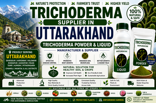 Trichoderma Supplier in Uttarakhand | Premium Biofungicide Manufacturer & Bulk Supplier