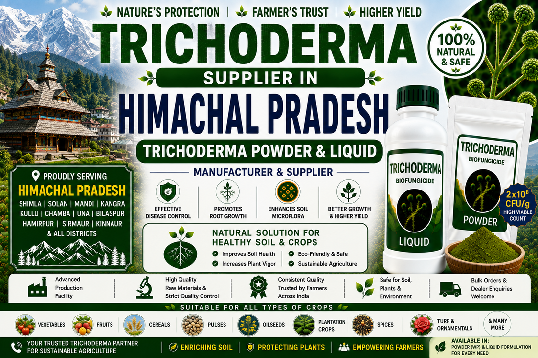 Trichoderma Supplier in Himachal Pradesh | Premium Biofungicide Manufacturer & Bulk Supplier