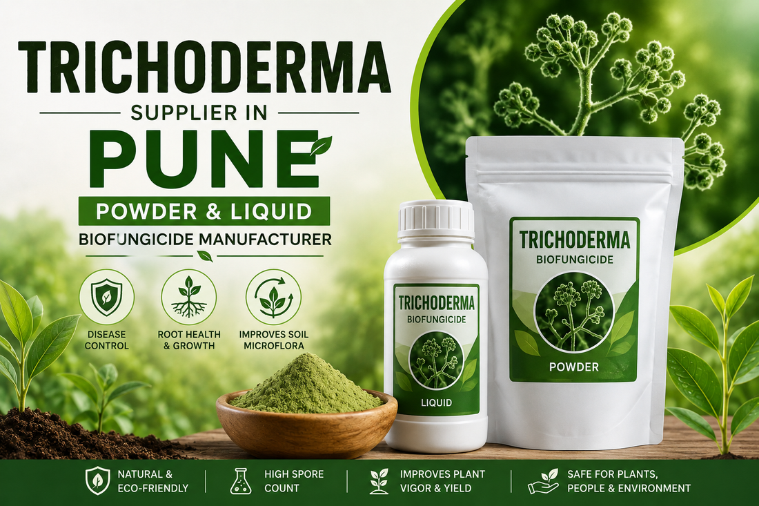 Trichoderma Supplier in Pune | Premium Biofungicide Manufacturer & Bulk Supplier