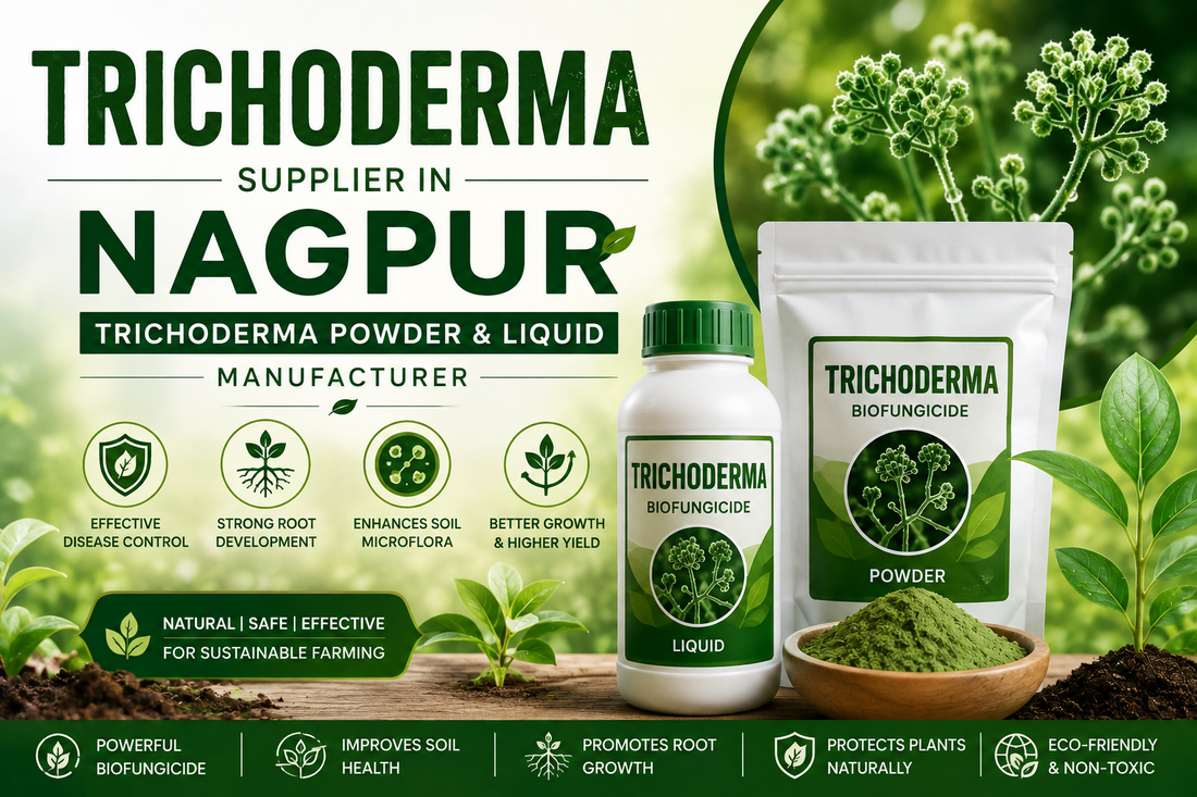 Trichoderma Supplier in Nagpur | Premium Biofungicide Manufacturer & Bulk Supplier