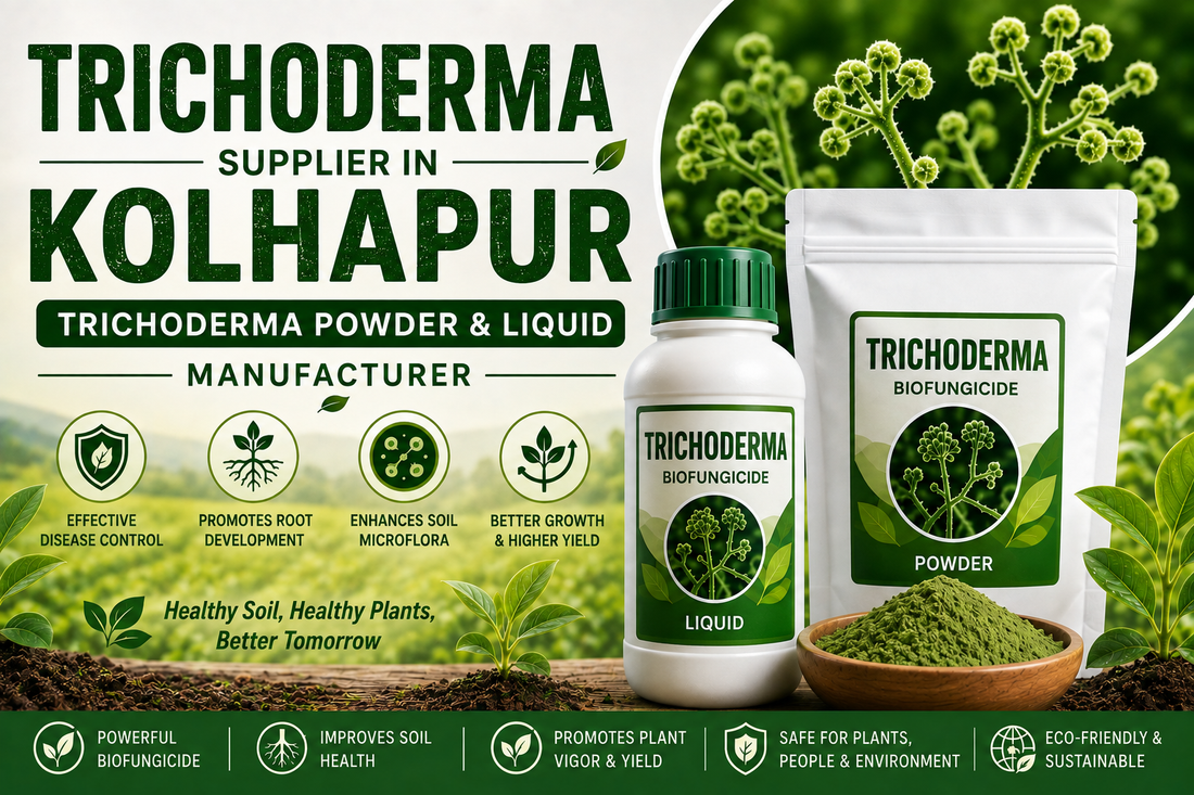 Trichoderma Supplier in Kolhapur | Premium Biofungicide Manufacturer & Bulk Supplier