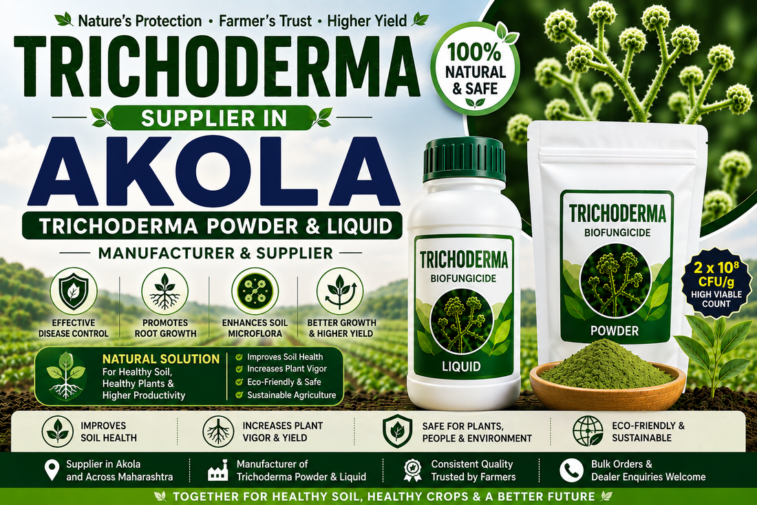 Trichoderma Supplier in Akola | Premium Biofungicide Manufacturer & Bulk Supplier