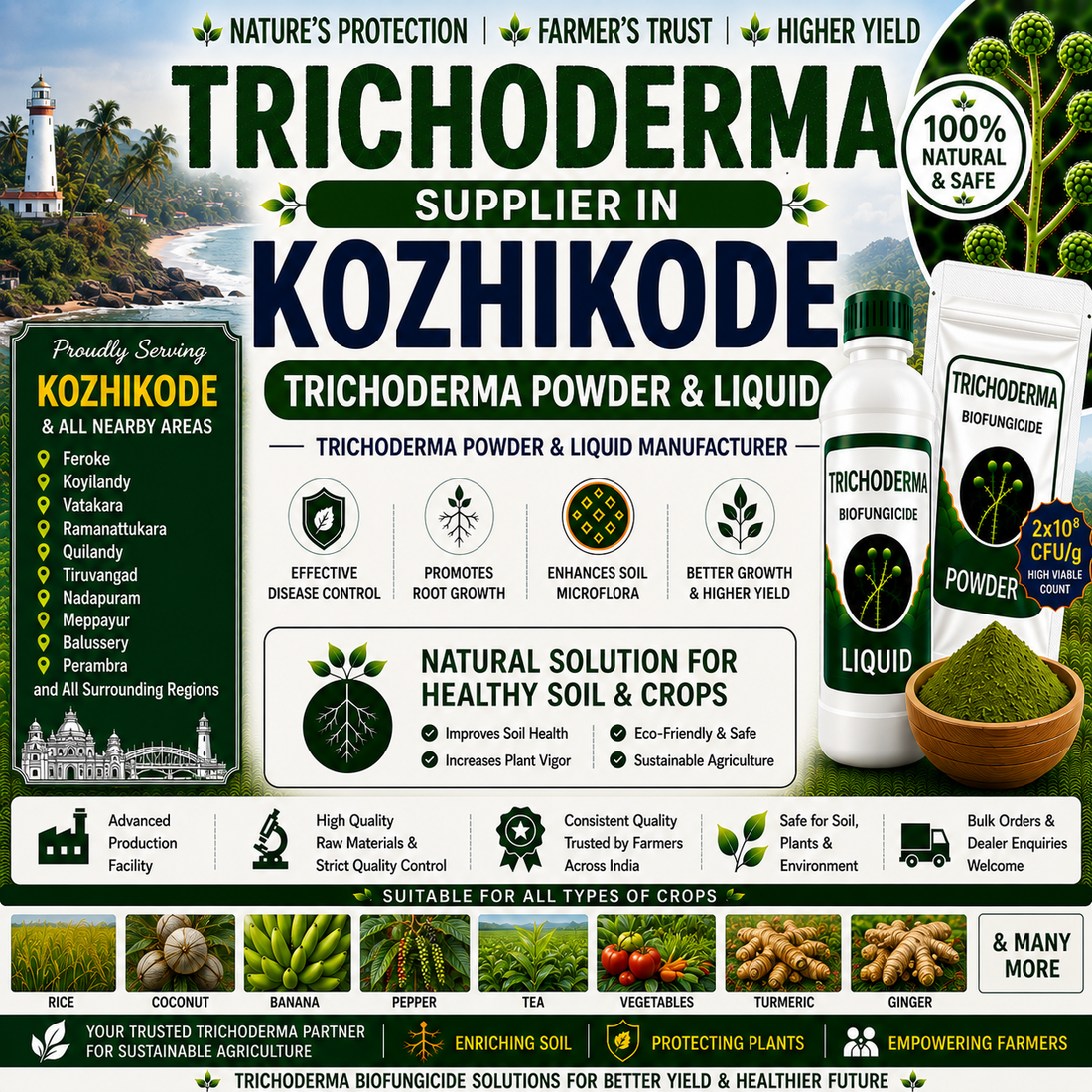 Trichoderma Supplier in Kozhikode | Premium Biofungicide Manufacturer & Bulk Supplier