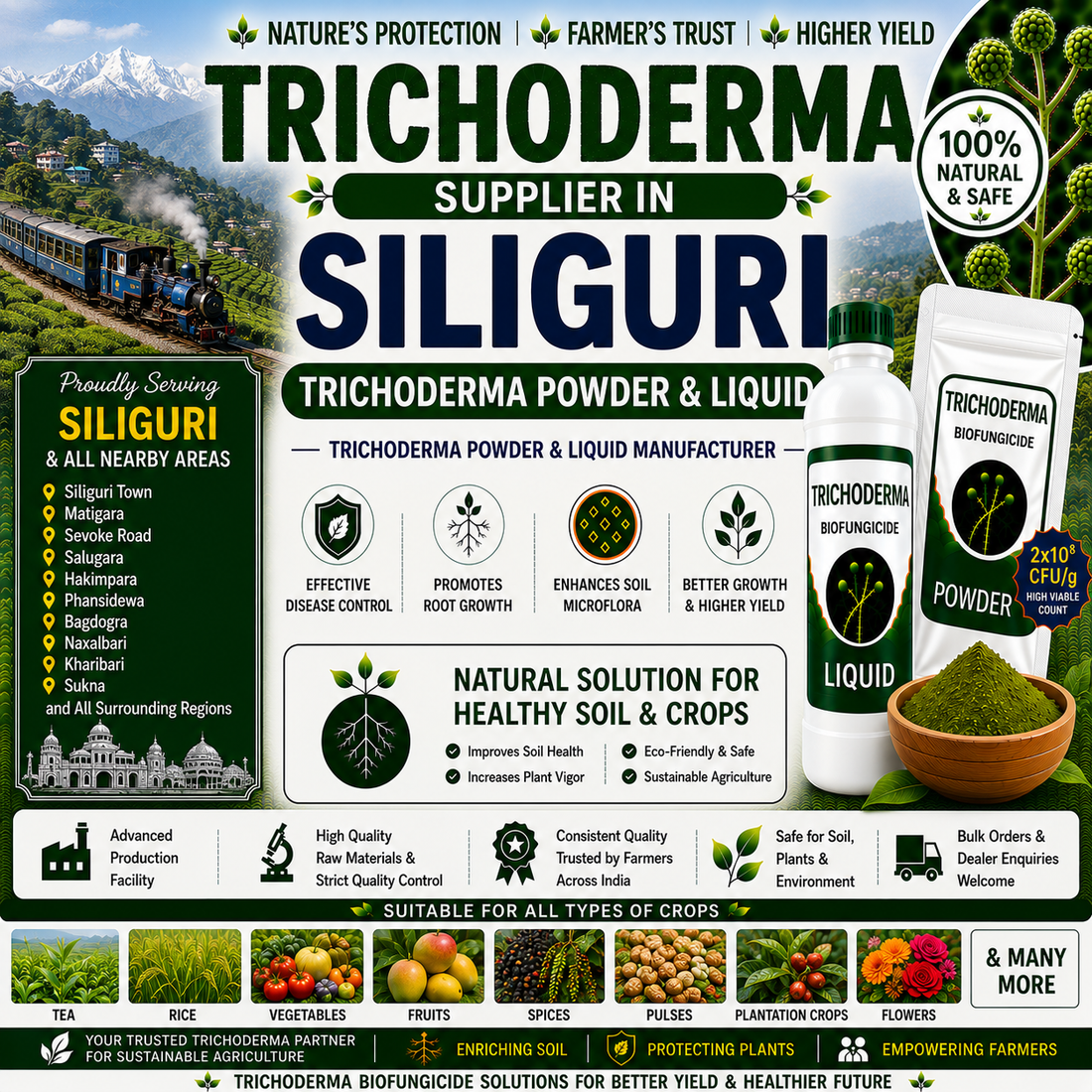 Trichoderma Supplier in Siliguri | Premium Biofungicide Manufacturer & Bulk Supplier