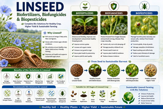 Linseed (Flaxseed) Biofertilizers, Biofungicides & Biopesticides for Higher Seed Yield and Oil Quality