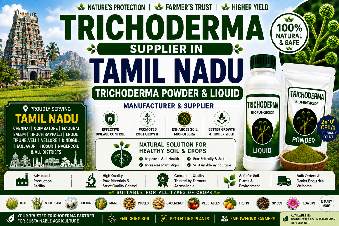 Trichoderma Supplier in Tamil Nadu | Premium Biofungicide Manufacturer & Bulk Supplier